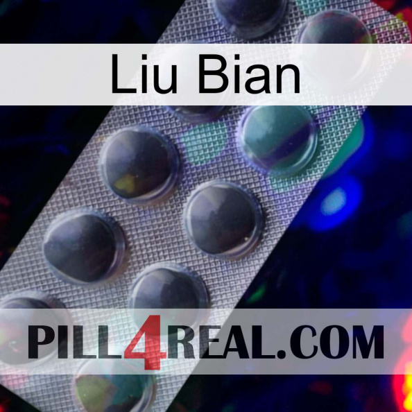 Liu Bian 30